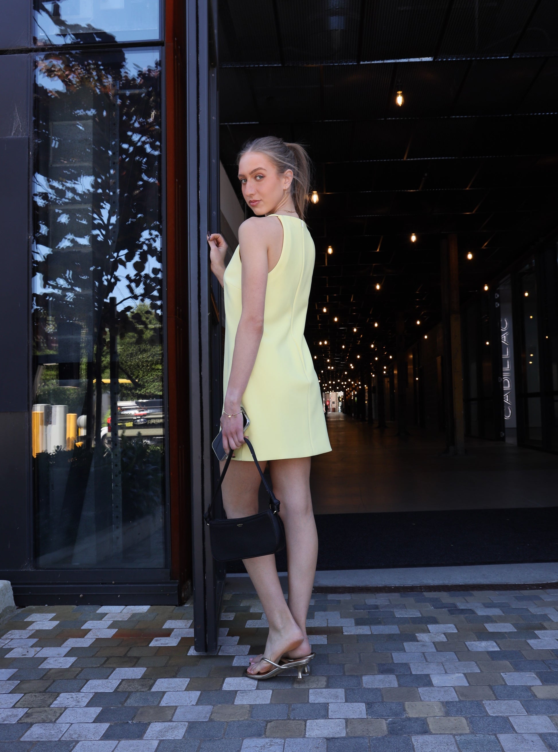 EDEN A-LINE MINI DRESS La Libéré